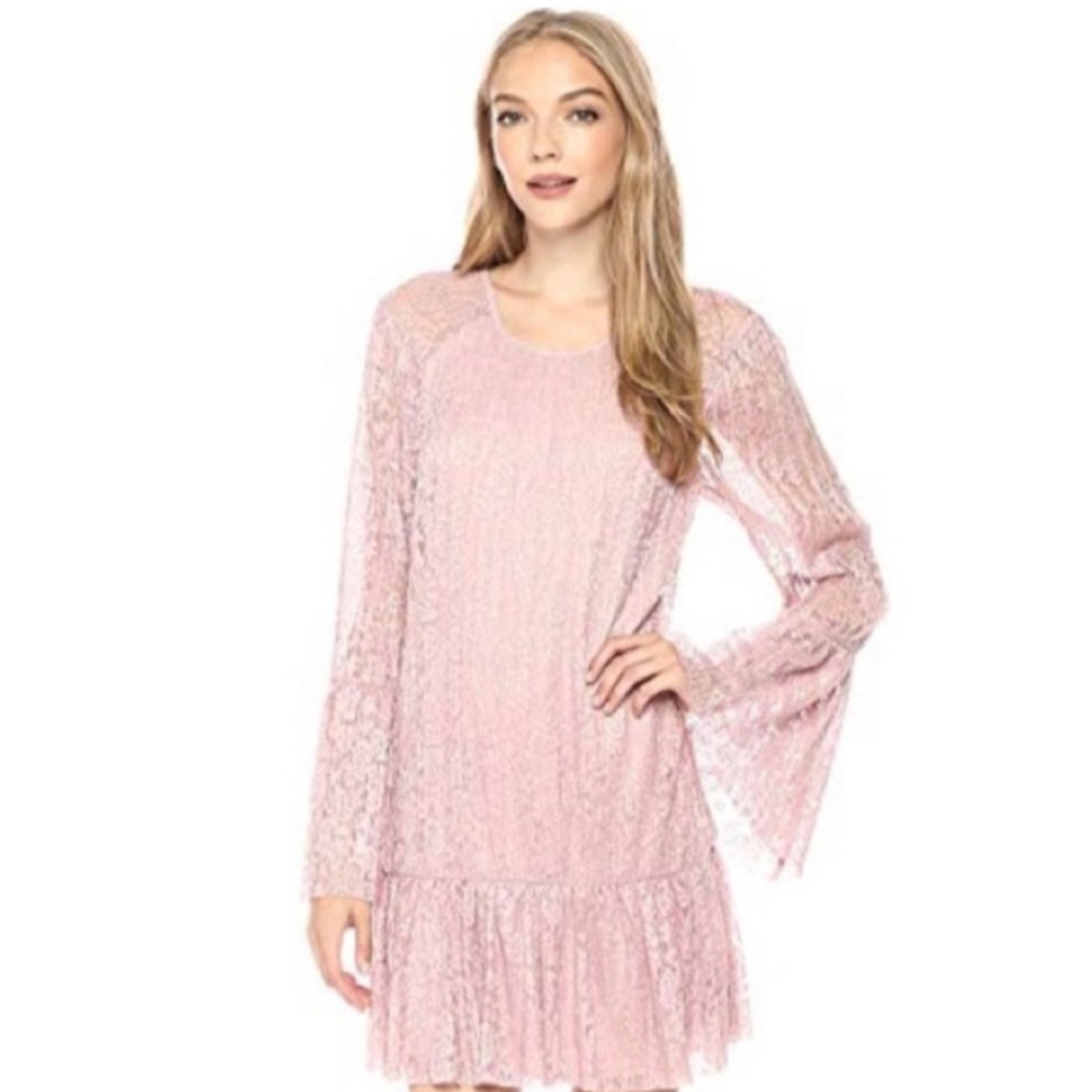 BCBG Lace Dress in Rose Smoke, Medium